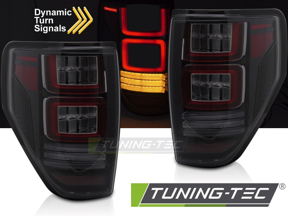 LED fumée pour Ford F150 MK12 (2008-2014)