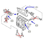 Kit suppression vanne EGR 1.6 TDI CR CAYA, CAYB, CAYC, CAYD avec simulateur