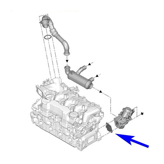 Plaque de suppression vanne EGR 1.4 HDI 1.6 HDI TDCI CITD Peugeot Citroën Ford Volvo Mazda 