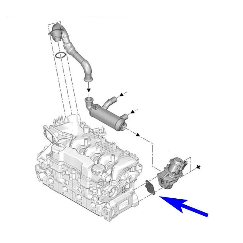  Plaque de suppression vanne EGR 1.4 HDI 1.6 HDI TDCI CITD